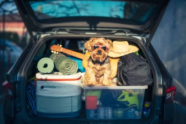 Pensez à faire vos révisions de vos véhicules avant le départ en vacances, dans votre garage à Gueugnon , Gueugnon, Garage des Fontaines